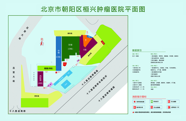 好骚啊逼好痒快干我啊在线播放视频北京市朝阳区桓兴肿瘤医院平面图